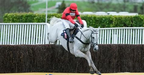 cheltenham ante post tips|'It's never too early to start' .